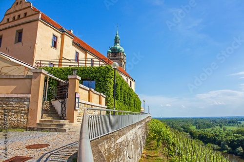 Vineyard in front of the castle Mělník Bohemia Czech Republic photo
