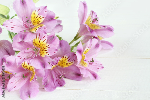 Lilac alstroemeria flowers on white painted wooden table