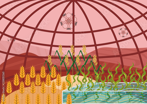 Closed ecological system. Concept of use. A self-sustainable bio station constructed on another planet (Mars) with different plants: wheat, rice and algae. View from inside of the bio station