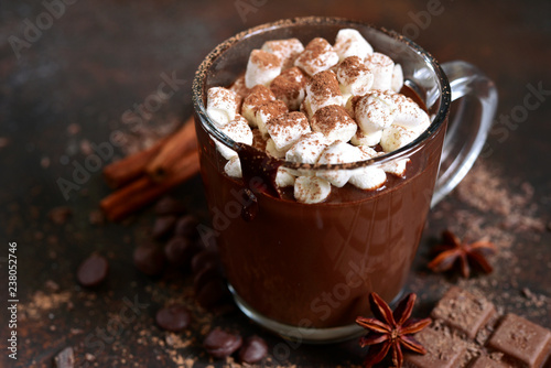 Homemade spicy hot chocolate with mini marshmallow.