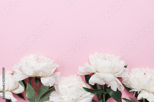 Beautiful white peony flowers on pink pastel table top view and flat lay style. Floral border for Womens day card.