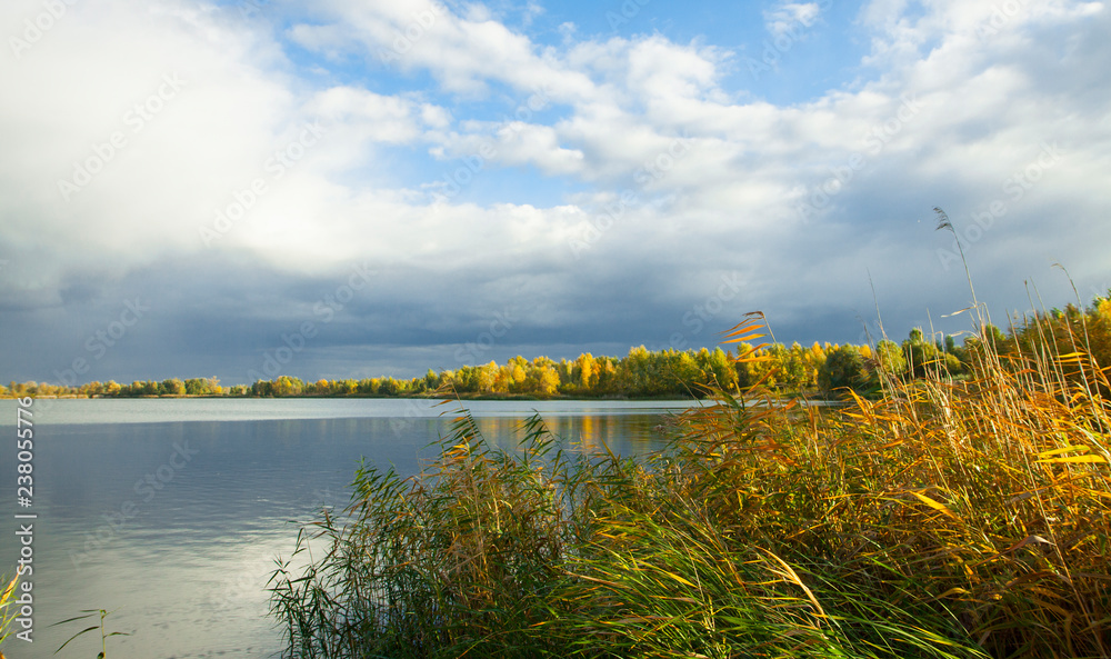 Obraz premium Forest landscape. Lake, cane, trees and dramatic cloudy sky. Autumn calm day on the lake. Small house in the forest.