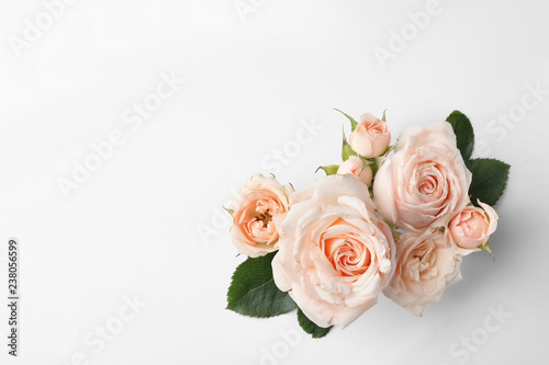 Beautiful roses and space for text on white background  top view