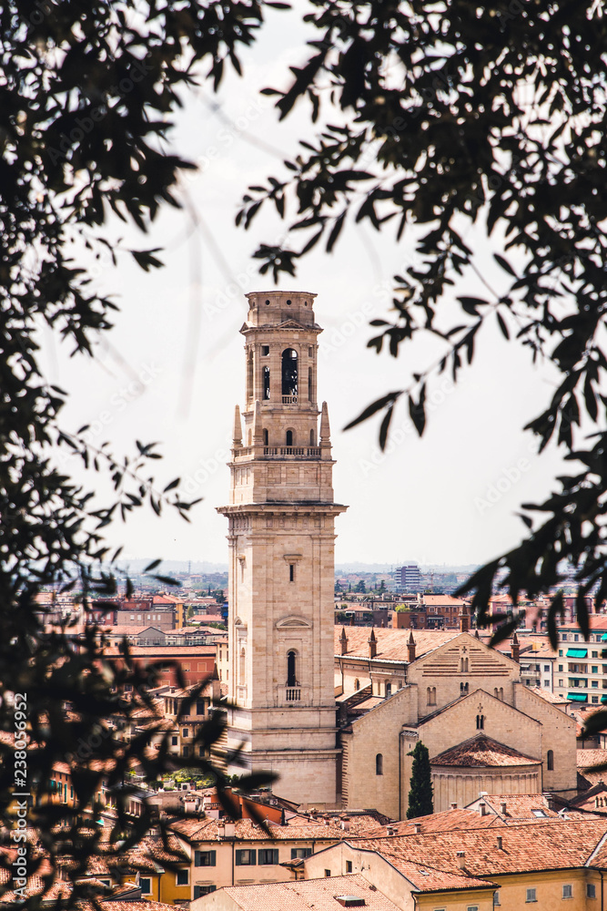 Kathedrale von Verona zwischen Olivenbäumen