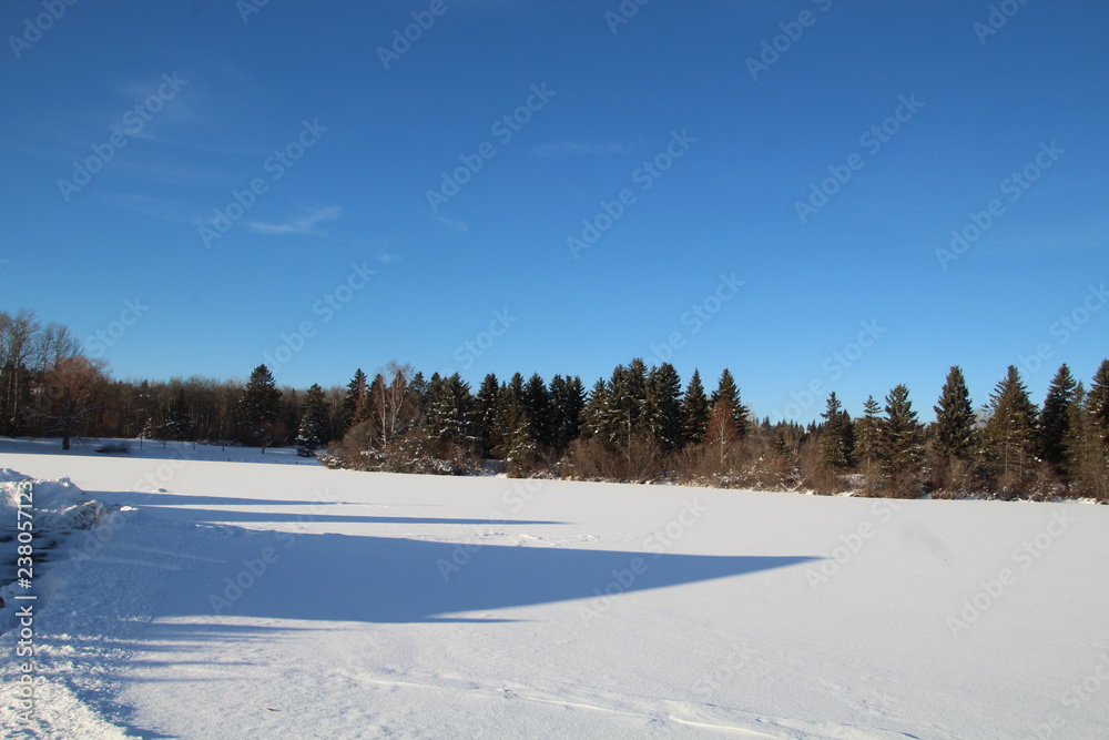 Frozen Lake, William Hawrelak Park, Edmonton, Alberta Frozen Lake, William Hawrelak Park, Edmonton, Alberta