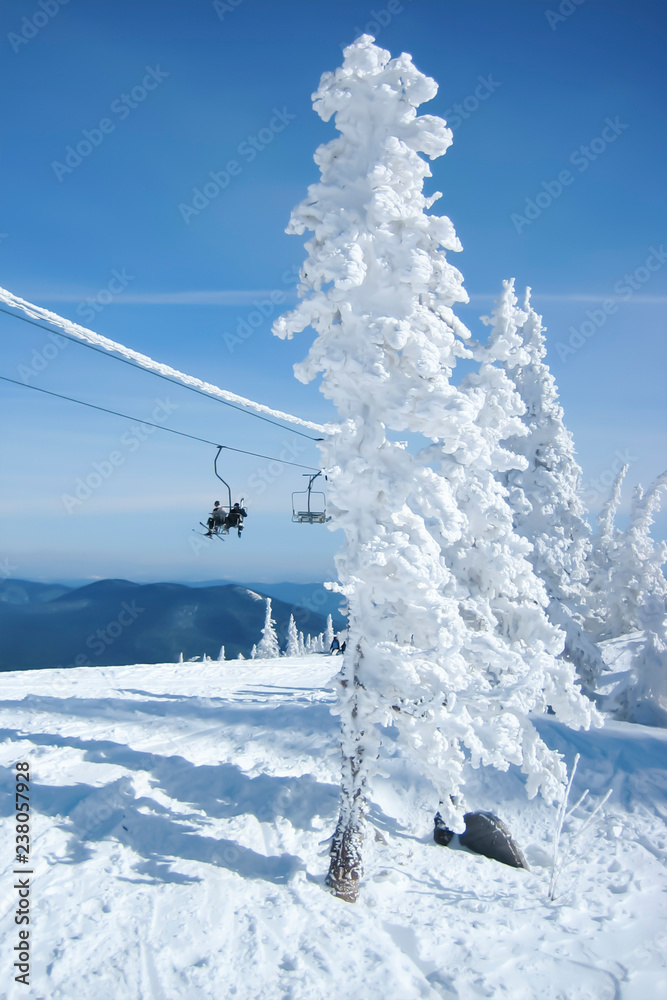 Fototapeta premium ski resort on a sunny winter morning, young spruce trees covered with thick frost, two men on a chairlift at the top of a mountain