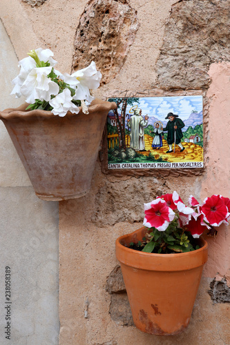 beautiful flowerpots on the wall - Valldemossa - Mallorca - Spain