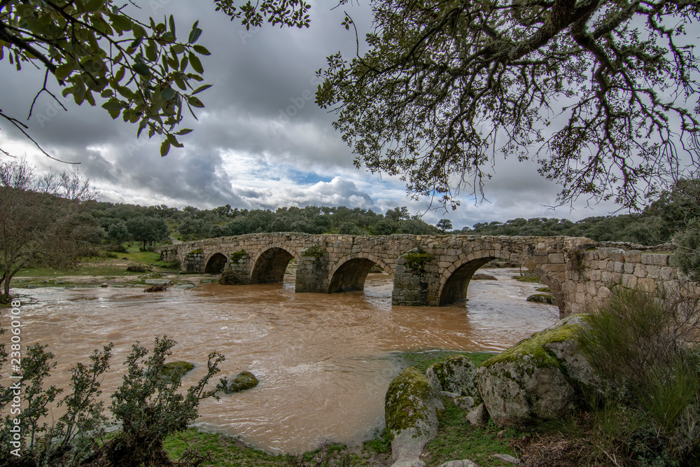 Mocho Bridge in the town of Ledesma in the province of Salamanca