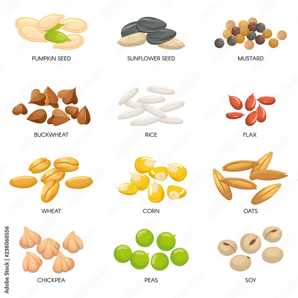 Cartoon Grains