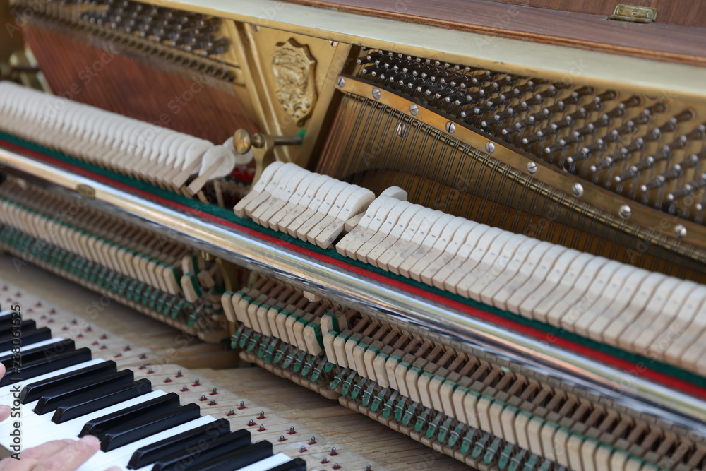 3041 Piano keys and interior, Sept. 15, 2018 3041 Piano keys and interior, Sept. 15, 2018