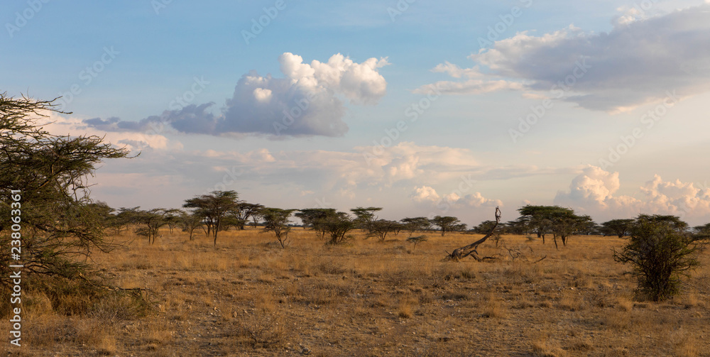 Wildnis Massai Mara