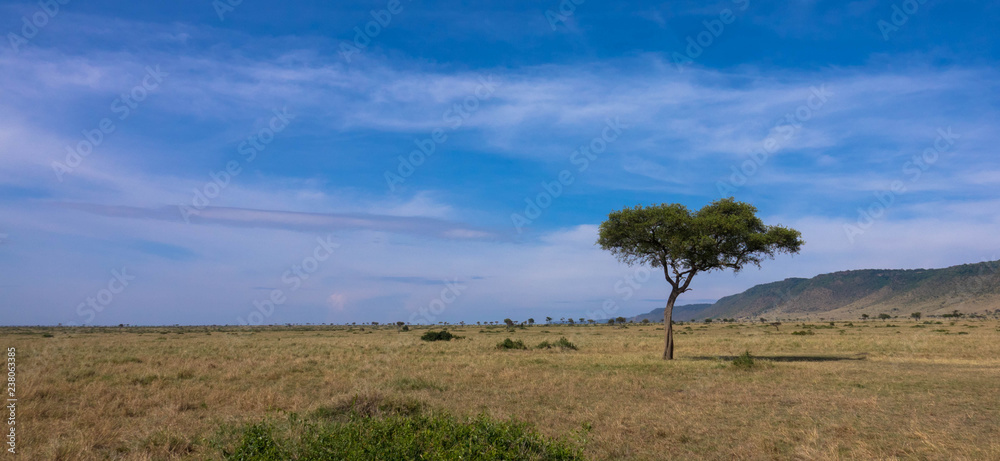 Die Weite der Massai Mara