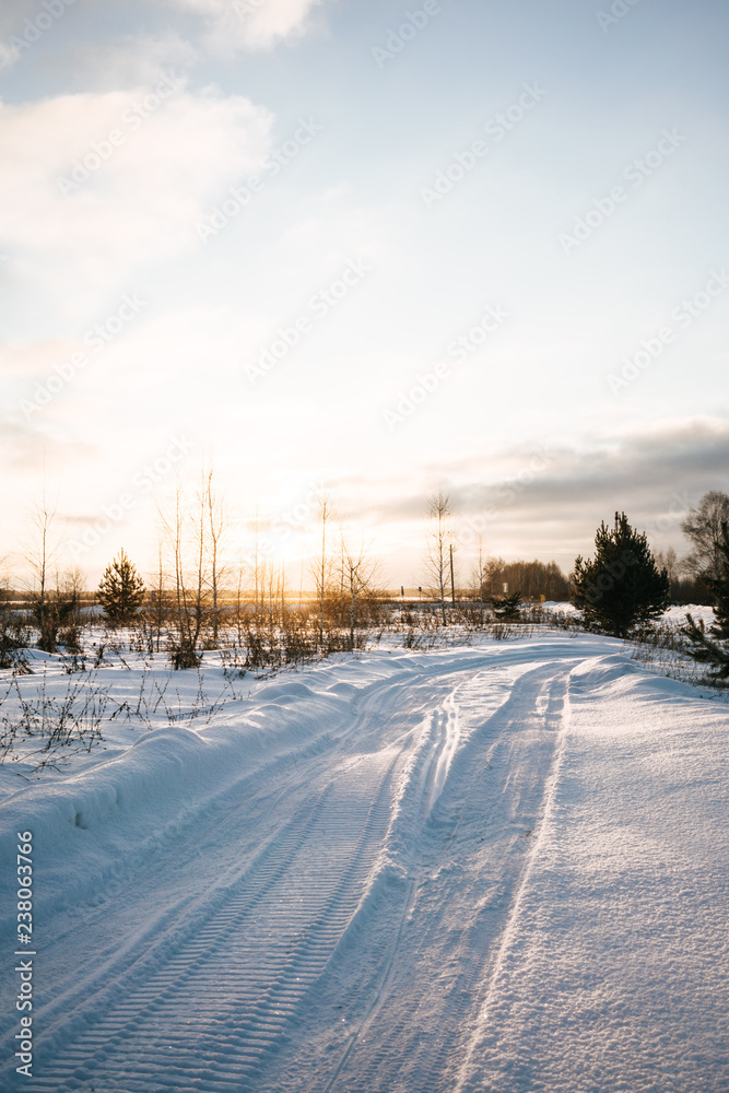 Winter sunny landscape in countryside (snowy road)