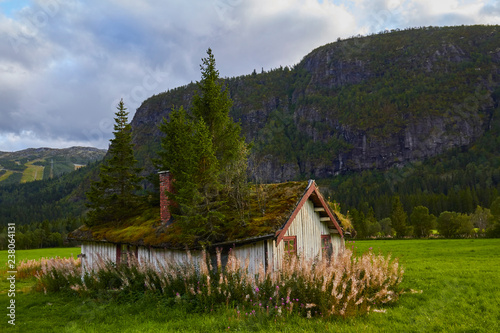 good roof, old cottige, schelter, ecological house photo