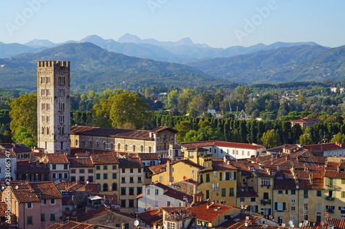 Landscape view of the rooftops in Lucca, a historic city in Tuscany, Central Italy, seen from the top of the landmark Torre Guinigi tower