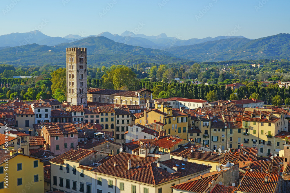 Landscape view of the rooftops in Lucca, a historic city in Tuscany, Central Italy, seen from the top of the landmark Torre Guinigi tower
