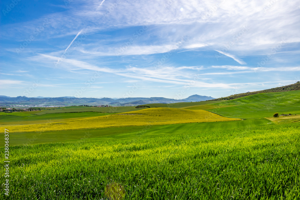 Green May landscape on the Camino de Santiago, Way of St. James near Zariquiegui in Navarre, Spain