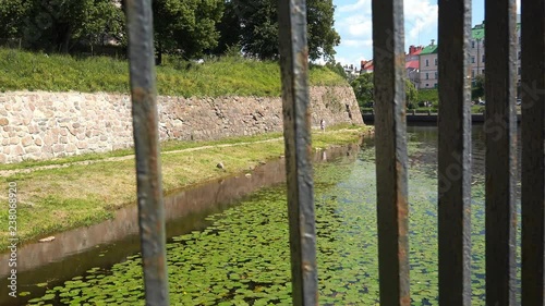 young couple walking by the river with floating water lilies. photo