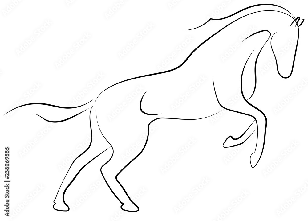 Fototapeta Black line horse on white background. Running horse sketch style. Vector graphic icon animal.