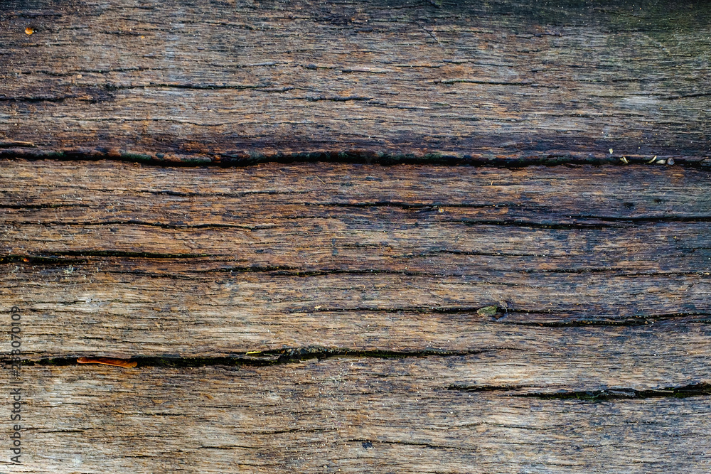 old wood texture