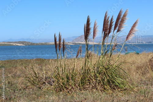 Bayside