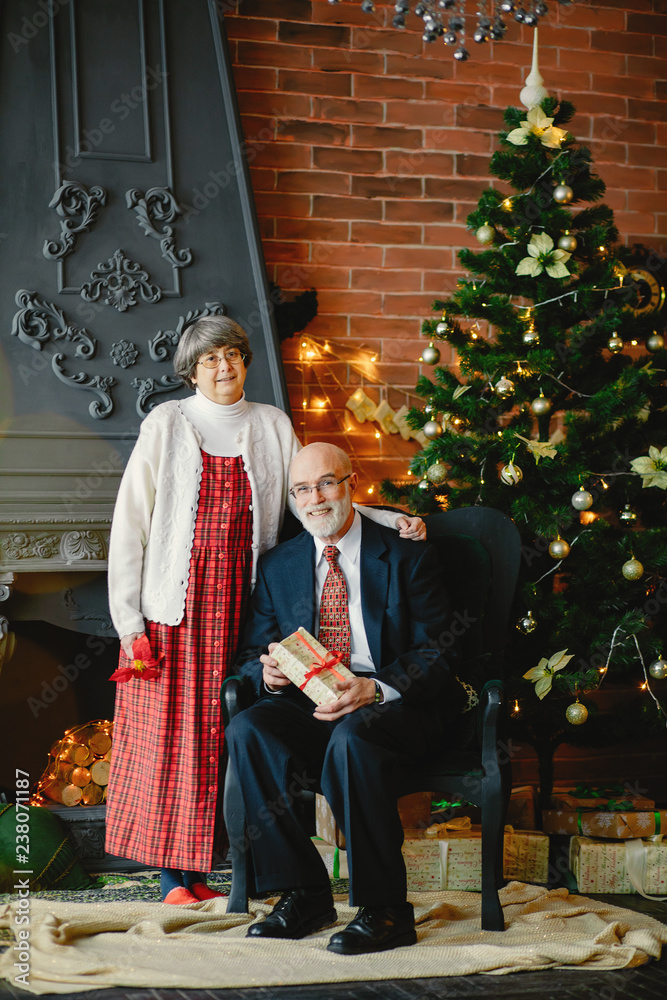 An elegant old couple are celebrating Christmas