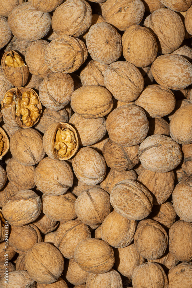 The collected walnuts are kept in bulk. Walnut in shell The collected walnuts are kept in bulk. Walnut in shell
