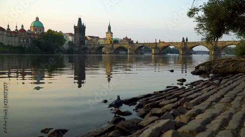 Doves and Charles bridge