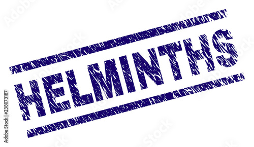 HELMINTHS seal print with grunge style. Blue vector rubber print of HELMINTHS text with dust texture. Text tag is placed between parallel lines.