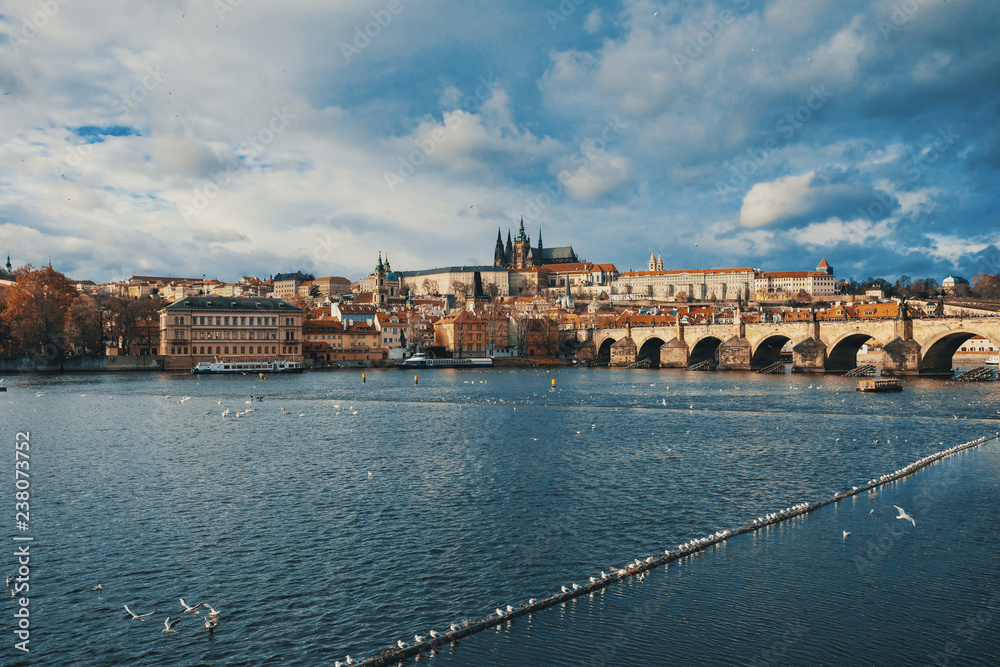 Cathedral of St. Vitus, Prague castle and the Vltava River