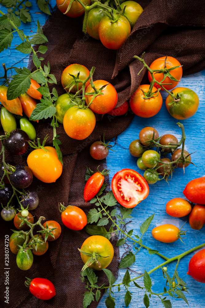 Fresh tomato ripe and green on wood Fresh tomato ripe and green on wood