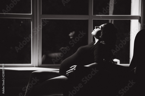 Beautiful pregnant woman sit on the chair in front of big window © Aleksandr