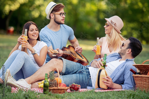 Group of young friends enjoying picnic time