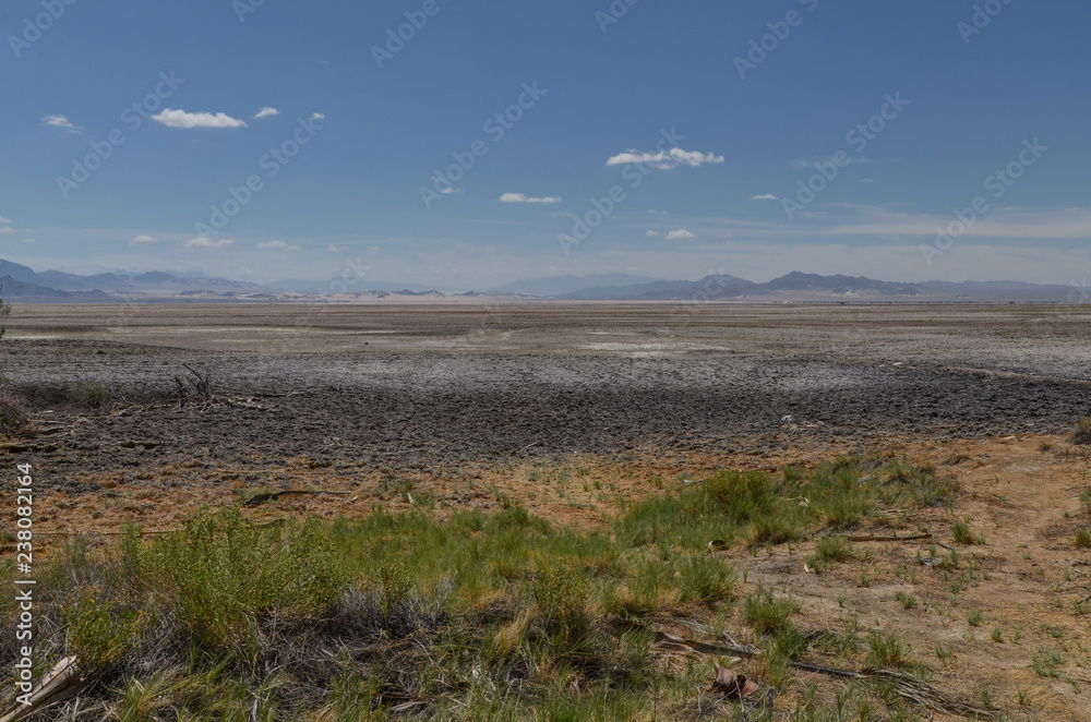 Soda Dry Lake in Mojave National Preserve San Bernardino County, California