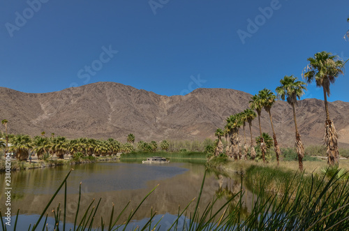 artificial Lake Tuendae in Zzyzx (Soda Springs) Mojave National Preserve, San Bernardino County, California photo