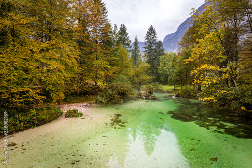 Sava Bohinjka river stream autumn forest view, Slovenia nature. photo