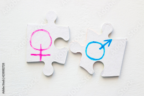 puzzle pieces with gender symbols. concept equality