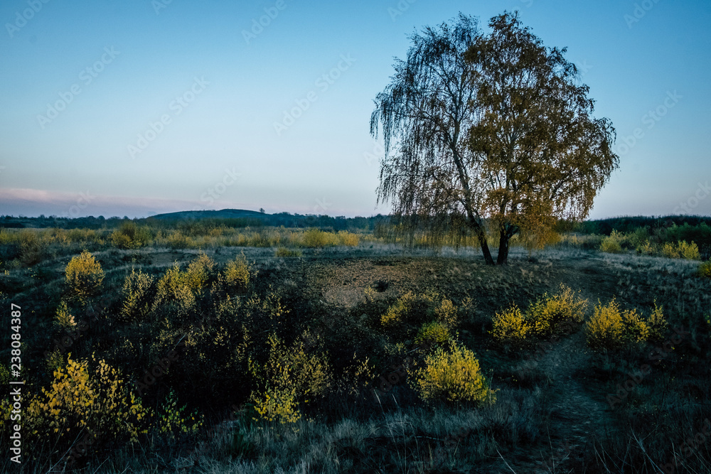 Obraz premium Landschaft im Herbst