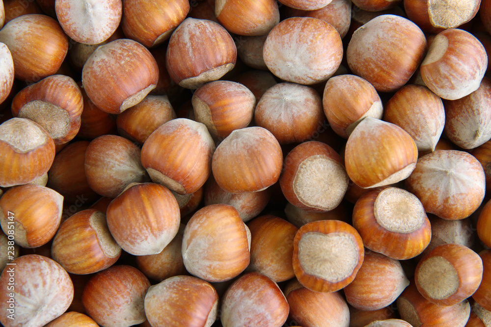 Hazelnuts. Food background, photo wallpaper. Hazelnuts. Food background, photo wallpaper.