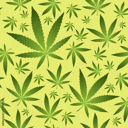 Seamless vector pattern with marijuana leaves illustration