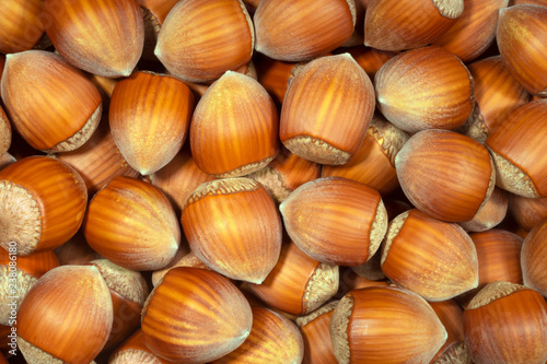 Hazelnut close up. Hazelnut background.