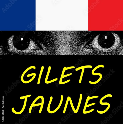 Gilets Jaunes photo