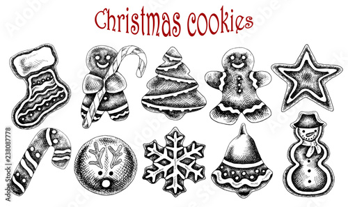 Vector illustration of sketch hand drawn set Christmas cookies with candy. Gingerbread man, snowflake, sock, Christmas tree, star, snowman, deer. Christmas vintage design of traditional holiday food.