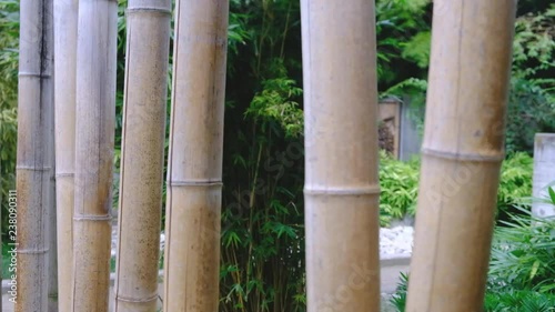 Japan bamboo cane decoration that move with the wind and a female hand. Relaxing scene. 4K video.