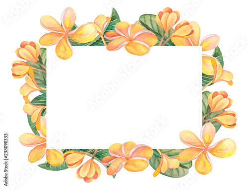 Illustration of watercolor hand drawn frame with green leaves and orange colorful flowers isolated on white background. For cards, wedding invitation, posters.