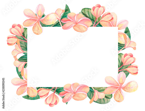 Illustration of watercolor hand drawn frame with green leaves and pink colorful flowers isolated on white background. For cards, wedding invitation, posters. © MariArt