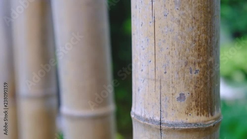 Japan bamboo cane decoration that move with the wind and a female hand. Relaxing scene. 4K video.