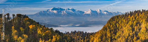 Morning panorama of Tatra mountains over yellow autumn beech forest, Poland