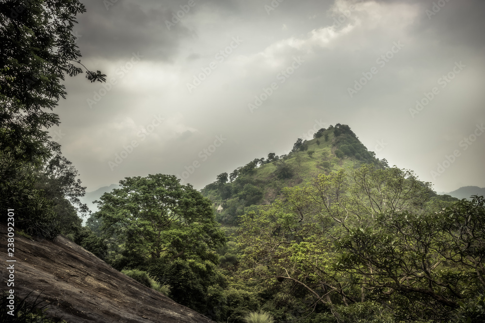 Highlands hill forest scenery landscape with dramatic sky in Asian Sri Lanka Dambulla surroundings
