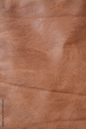 Wallpaper Mural Brown old background of nature leather texture. Torontodigital.ca